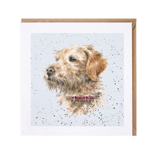 Wrendale Designs kaart Labradoodle