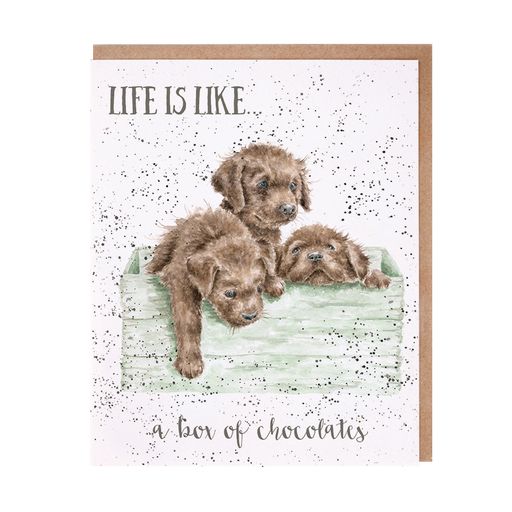 Wrendale Designs kaart Life is like a box of chocolates