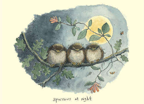 Two Bad Mice kaart Sparrows at Night